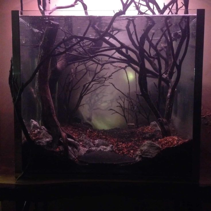 Dark and Eerie Fish Tank