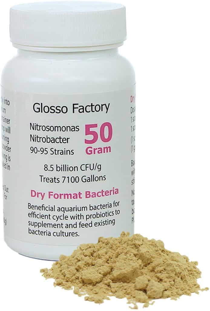 Glosso Factory Dry Format Bacteria in white background