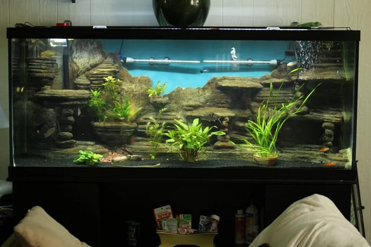 3D Aquarium Background