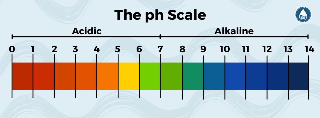 The pH Scale mini infographic