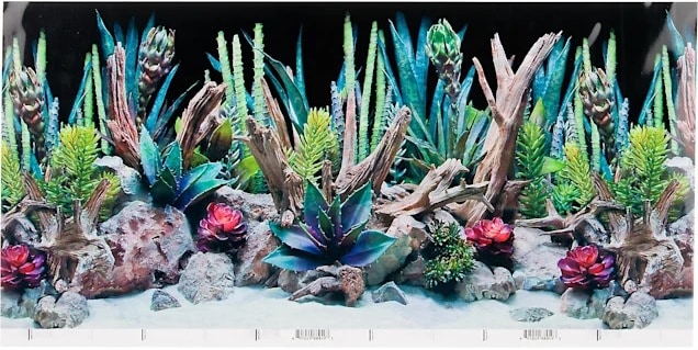 SeaView Double-Sided Desert Dream & Deep Flora Terrarium Background