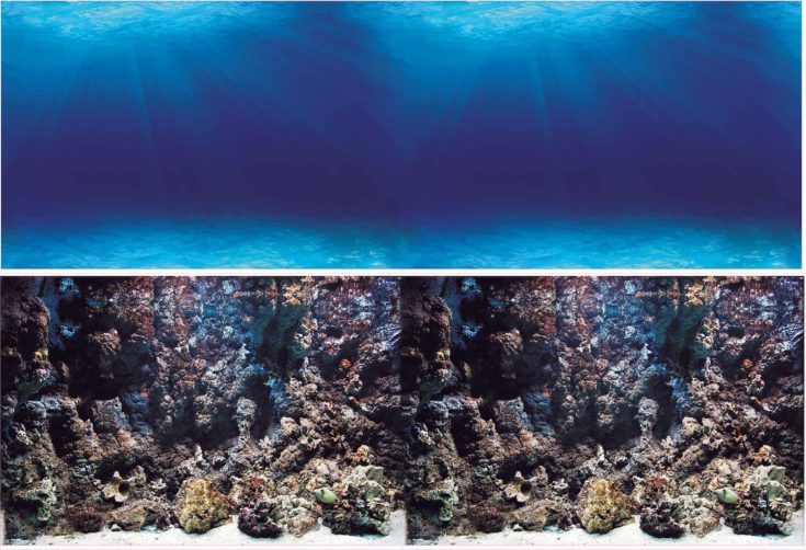 Vepotek Double-Sided Fish Aquarium Background
