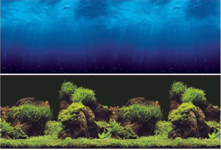 61x41cm joyMerit Fish Tank Background One Sided Natural Scenery Background for Aquarium 