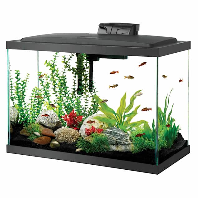 Aqueon LED Aquarium Kit 20