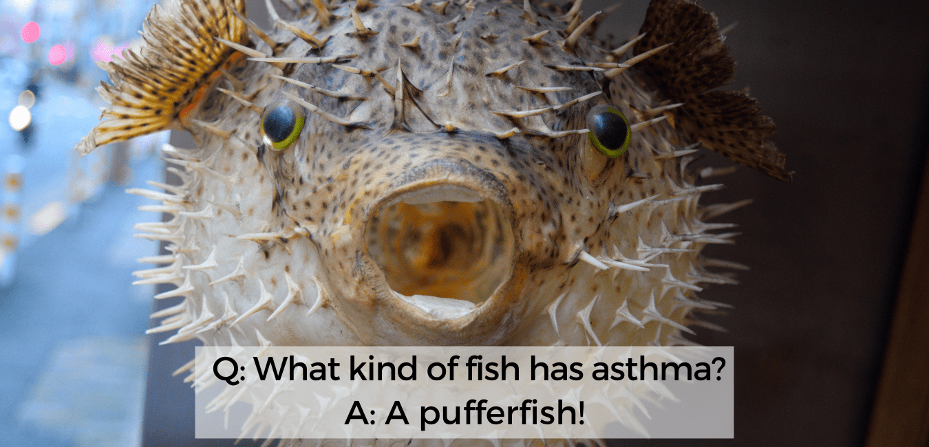 Puffer Fish Meme 6