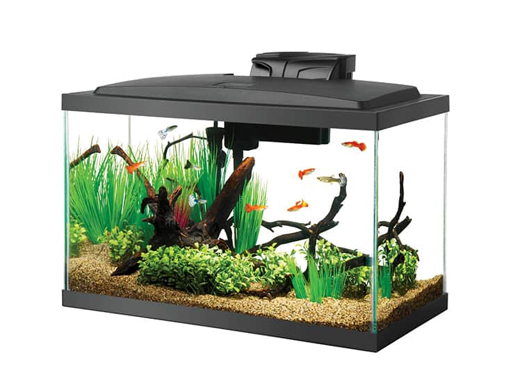 Aqueon LED Fish Aquarium Starter Kit