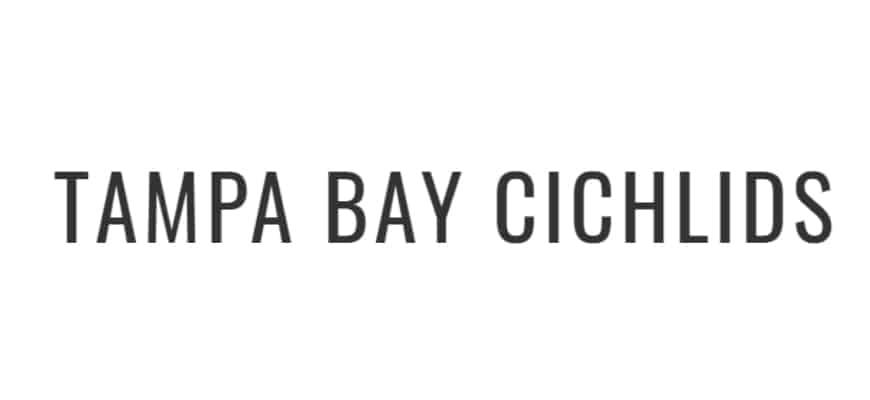 The Tampa Bay Cichlids Logo