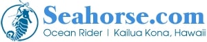 Ocean Rider logo
