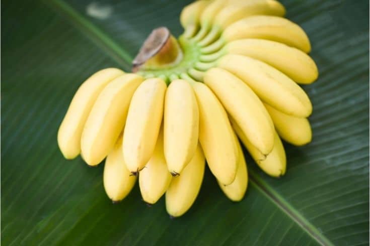 Bunch of Banana on a Leaf