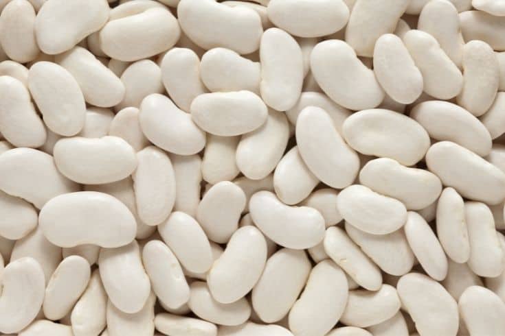 Lima Beans Background