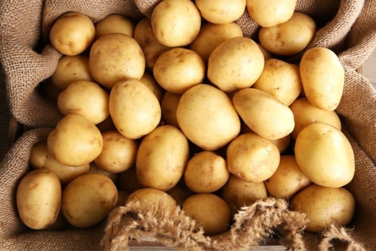 Potatoes on Sackcloth
