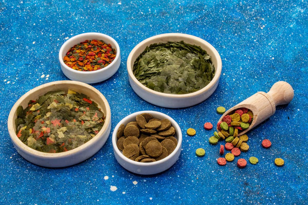 Assorted different types of food for aquarium fish. Flakes, spirulina, pills, mixture. Navy blue sea background, close up