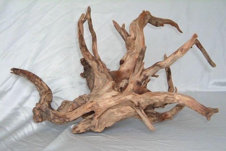 Sumatran Driftwood