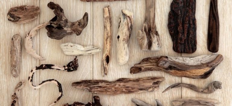 Types of Driftwood