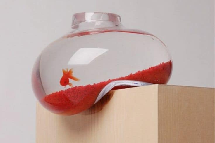 Balancing fish bowl