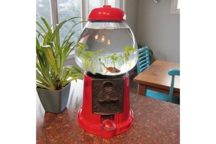 Gumball Machine Fish Tank