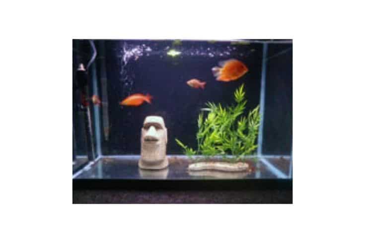 minimal fish tank with an stone idol and an artificial plant