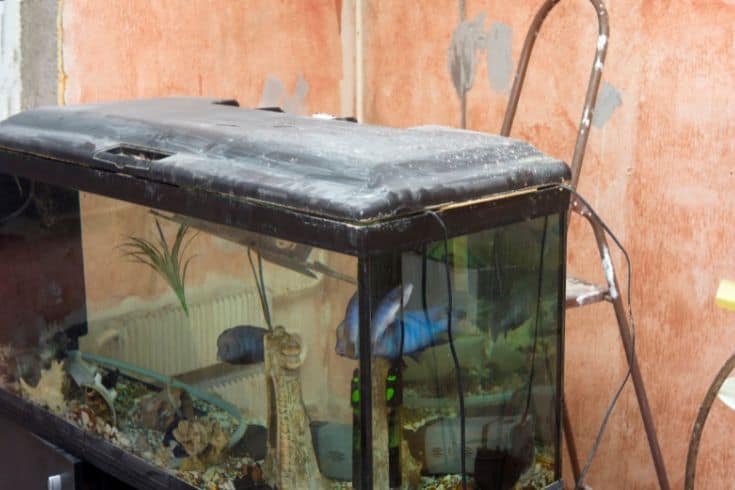 Fish tank with a coverFish tank with a cover