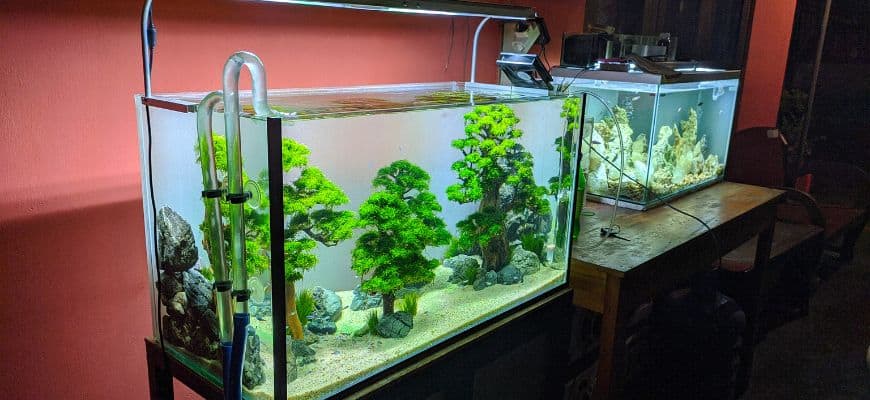 30 gallon fish aquariums