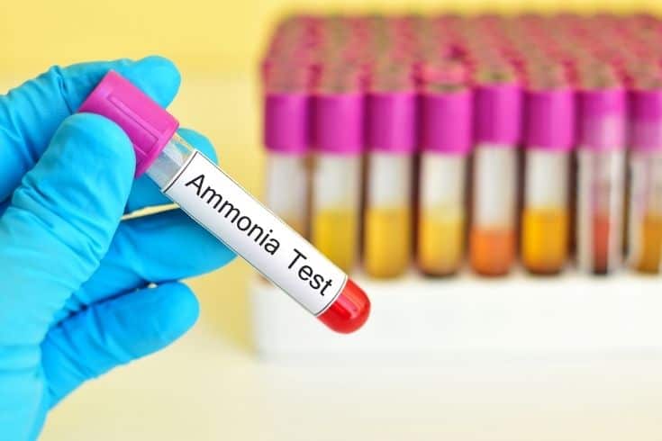 Ammonia test tubes