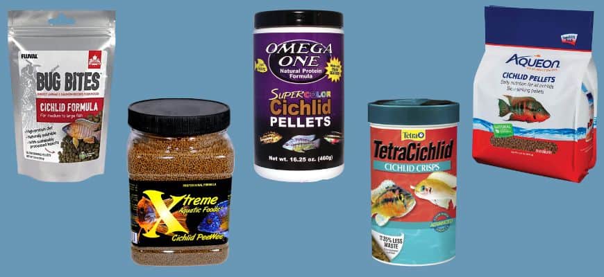 5 cichlid foods