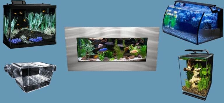 1. Marineland Portrait Glass LED Aquarium Kit, 5 Gallons 2. Hygger Horizon 8 Gallon LED Glass Aquarium Kit 3. Tetra ColorFusion Aquarium 20 Gallon 4. Aussie Aquariums 2.0 Wall Mounted Aquarium – Skyline 5. Capetsma Acrylic Fish Isolation Box with Suction Cups