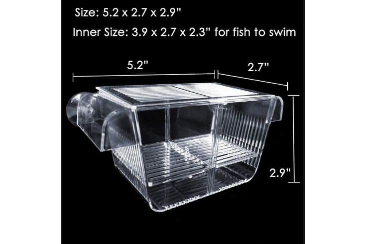 Capetsma Acrylic Fish Isolation Box with Suction Cups