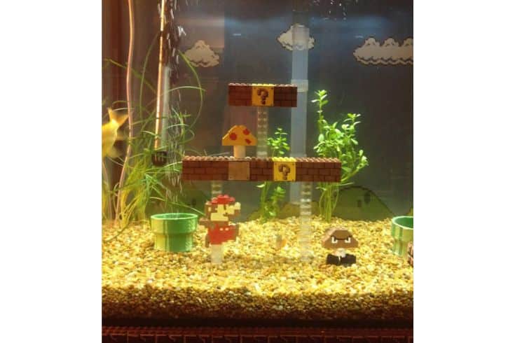 Super Mario-Themed Goldfish Tank